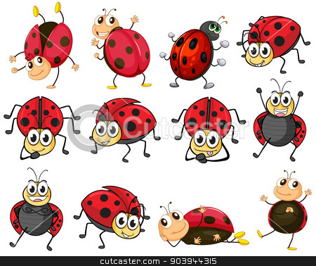 To use this stock image in your creative project, please select the size you need over to the right and click the "Add to Cart" button.
Your downloaded image will come with the Cutcaster watermark removed so don’t worry about the watermark you see on this page. Cute ladybugs stock vector clipart, Illustration of the cute ladybugs on a white background by Matthew Cole