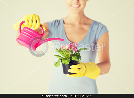 To use this stock image in your creative project, please select the size you need over to the right and click the "Add to Cart" button.
Your downloaded image will come with the Cutcaster watermark removed so don’t worry about the watermark you see on this page. woman holding pot with flower stock photo, woman holding pot with flower and watering can by Syda Productions