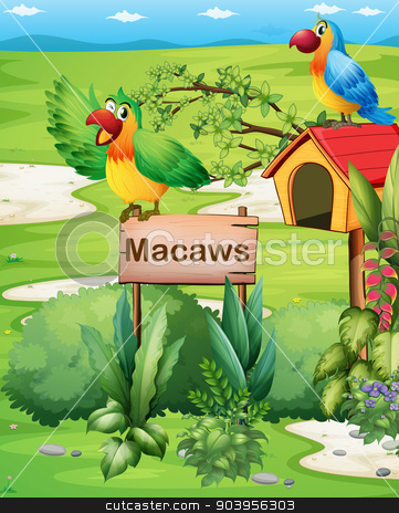 To use this stock image in your creative project, please select the size you need over to the right and click the "Add to Cart" button.
Your downloaded image will come with the Cutcaster watermark removed so don’t worry about the watermark you see on this page. Two colorful parrots above a signboard and a pethouse stock vector clipart, Illustration of the two colorful parrots above a signboard and a pethouse by Matthew Cole