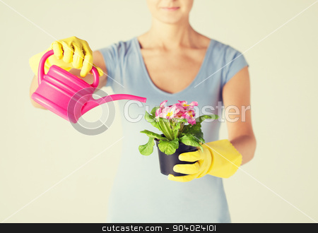 To use this stock image in your creative project, please select the size you need over to the right and click the "Add to Cart" button.
Your downloaded image will come with the Cutcaster watermark removed so don’t worry about the watermark you see on this page. woman holding pot with flower stock photo, woman holding pot with flower and watering can by Syda Productions