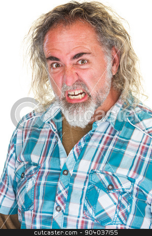 To use this stock image in your creative project, please select the size you need over to the right and click the "Add to Cart" button.
Your downloaded image will come with the Cutcaster watermark removed so don’t worry about the watermark you see on this page. Furious Man stock photo, Single male adult with beard and furious expression by Scott Griessel