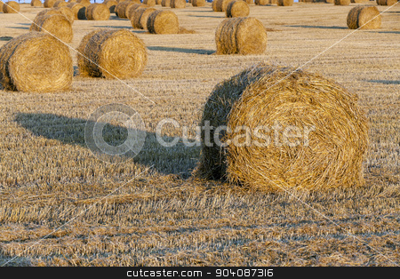 To use this stock image in your creative project, please select the size you need over to the right and click the "Add to Cart" button.
Your downloaded image will come with the Cutcaster watermark removed so don’t worry about the watermark you see on this page. straw stack stock photo, the photographed straw stack during the harvest company of cereals by ihar leichonak