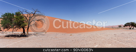 To use this stock image in your creative project, please select the size you need over to the right and click the "Add to Cart" button.
Your downloaded image will come with the Cutcaster watermark removed so don’t worry about the watermark you see on this page. wide panorama Dune 45 in sossusvlei Namibia stock photo, wide panorama of Dune 45 in sossusvlei Namibia, view from the top of a dune, best place in namibia by Artush