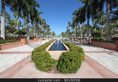 To use this stock image in your creative project, please select the size you need over to the right and click the "Add to Cart" button.
Your downloaded image will come with the Cutcaster watermark removed so don’t worry about the watermark you see on this page. Fountain stock photo, A fountain surrounded by plants and palm trees by Lucy Clark