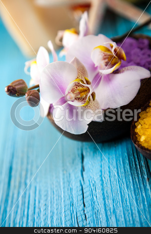 To use this stock image in your creative project, please select the size you need over to the right and click the "Add to Cart" button.
Your downloaded image will come with the Cutcaster watermark removed so don’t worry about the watermark you see on this page. Beautiful orchids, fresh and organic concept stock photo, Beautiful orchids, fresh and organic concept by Sebastian Duda