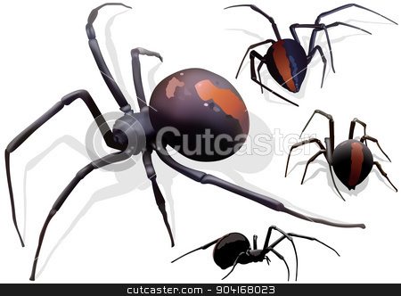 To use this stock image in your creative project, please select the size you need over to the right and click the "Add to Cart" button.
Your downloaded image will come with the Cutcaster watermark removed so don’t worry about the watermark you see on this page. Black Widow Spider stock photo, Black Widow Spider (Latrodectus hasselti) - Illustration by derocz