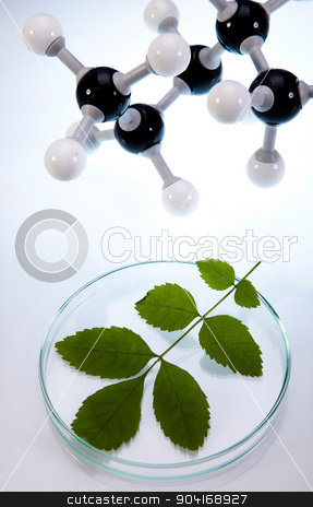 To use this stock image in your creative project, please select the size you need over to the right and click the "Add to Cart" button.
Your downloaded image will come with the Cutcaster watermark removed so don’t worry about the watermark you see on this page. Chemistry equipment, plants laboratory experimental stock photo, Chemistry equipment, plants laboratory experimental by Sebastian Duda