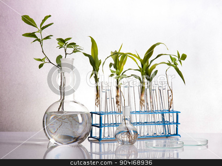 To use this stock image in your creative project, please select the size you need over to the right and click the "Add to Cart" button.
Your downloaded image will come with the Cutcaster watermark removed so don’t worry about the watermark you see on this page. Chemistry equipment, plants laboratory experimental stock photo, Chemistry equipment, plants laboratory experimental by Sebastian Duda