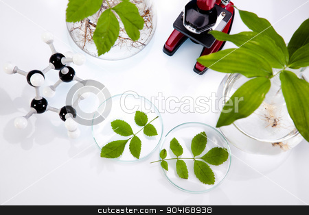 To use this stock image in your creative project, please select the size you need over to the right and click the "Add to Cart" button.
Your downloaded image will come with the Cutcaster watermark removed so don’t worry about the watermark you see on this page. Chemistry equipment, plants laboratory experimental stock photo, Chemistry equipment, plants laboratory experimental by Sebastian Duda