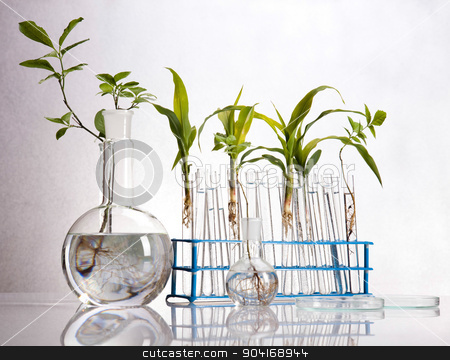 To use this stock image in your creative project, please select the size you need over to the right and click the "Add to Cart" button.
Your downloaded image will come with the Cutcaster watermark removed so don’t worry about the watermark you see on this page. Chemistry equipment, plants laboratory experimental stock photo, Chemistry equipment, plants laboratory experimental by Sebastian Duda