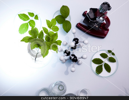 To use this stock image in your creative project, please select the size you need over to the right and click the "Add to Cart" button.
Your downloaded image will come with the Cutcaster watermark removed so don’t worry about the watermark you see on this page. Chemistry equipment, plants laboratory experimental stock photo, Chemistry equipment, plants laboratory experimental by Sebastian Duda