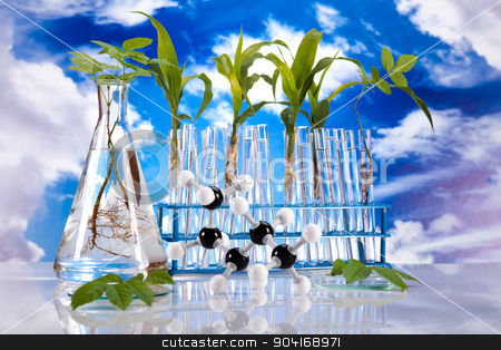 To use this stock image in your creative project, please select the size you need over to the right and click the "Add to Cart" button.
Your downloaded image will come with the Cutcaster watermark removed so don’t worry about the watermark you see on this page. Science experiment with plant laboratory stock photo, Science experiment with plant laboratory by Sebastian Duda
