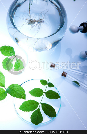 To use this stock image in your creative project, please select the size you need over to the right and click the "Add to Cart" button.
Your downloaded image will come with the Cutcaster watermark removed so don’t worry about the watermark you see on this page. Science experiment with plant laboratory stock photo, Science experiment with plant laboratory by Sebastian Duda