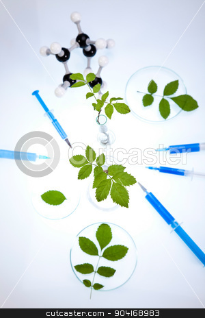 To use this stock image in your creative project, please select the size you need over to the right and click the "Add to Cart" button.
Your downloaded image will come with the Cutcaster watermark removed so don’t worry about the watermark you see on this page. Plant in a test tube in hands of the scientist stock photo, Plant in a test tube in hands of the scientist by Sebastian Duda