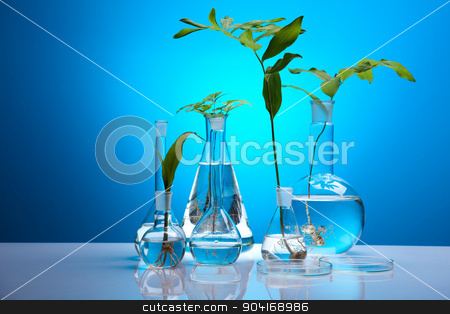 To use this stock image in your creative project, please select the size you need over to the right and click the "Add to Cart" button.
Your downloaded image will come with the Cutcaster watermark removed so don’t worry about the watermark you see on this page. Plant in a test tube in hands of the scientist stock photo, Plant in a test tube in hands of the scientist by Sebastian Duda