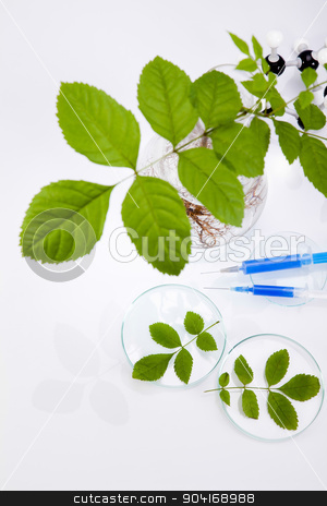 To use this stock image in your creative project, please select the size you need over to the right and click the "Add to Cart" button.
Your downloaded image will come with the Cutcaster watermark removed so don’t worry about the watermark you see on this page. Plant in a test tube in hands of the scientist stock photo, Plant in a test tube in hands of the scientist by Sebastian Duda