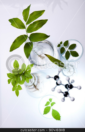 To use this stock image in your creative project, please select the size you need over to the right and click the "Add to Cart" button.
Your downloaded image will come with the Cutcaster watermark removed so don’t worry about the watermark you see on this page. Chemical laboratory glassware, bio organic modern concept stock photo, Chemical laboratory glassware, bio organic modern concept by Sebastian Duda