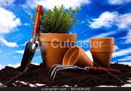 To use this stock image in your creative project, please select the size you need over to the right and click the "Add to Cart" button.
Your downloaded image will come with the Cutcaster watermark removed so don’t worry about the watermark you see on this page. Spring garden, vivid bright springtime concept stock photo, Spring garden, vivid bright springtime concept by Sebastian Duda