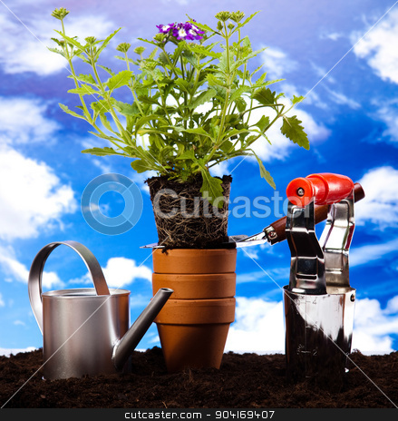 To use this stock image in your creative project, please select the size you need over to the right and click the "Add to Cart" button.
Your downloaded image will come with the Cutcaster watermark removed so don’t worry about the watermark you see on this page. Garden Tools, vivid bright springtime concept stock photo, Garden Tools, vivid bright springtime concept by Sebastian Duda