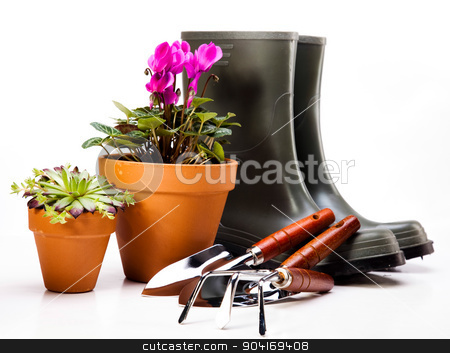 To use this stock image in your creative project, please select the size you need over to the right and click the "Add to Cart" button.
Your downloaded image will come with the Cutcaster watermark removed so don’t worry about the watermark you see on this page. Garden background, vivid bright springtime concept stock photo, Garden background, vivid bright springtime concept by Sebastian Duda
