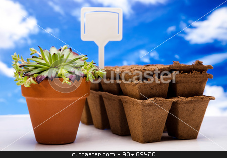 To use this stock image in your creative project, please select the size you need over to the right and click the "Add to Cart" button.
Your downloaded image will come with the Cutcaster watermark removed so don’t worry about the watermark you see on this page. Garden background, vivid bright springtime concept stock photo, Garden background, vivid bright springtime concept by Sebastian Duda
