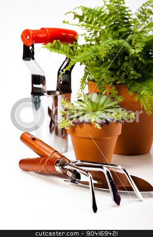 To use this stock image in your creative project, please select the size you need over to the right and click the "Add to Cart" button.
Your downloaded image will come with the Cutcaster watermark removed so don’t worry about the watermark you see on this page. Spring garden, vivid bright springtime concept stock photo, Spring garden, vivid bright springtime concept by Sebastian Duda