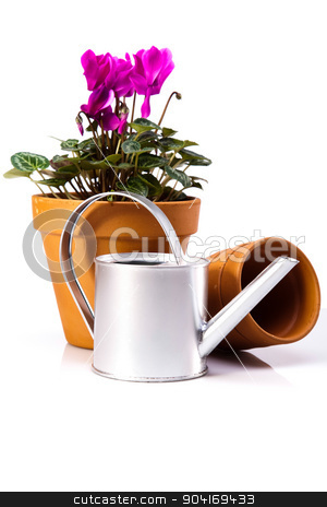 To use this stock image in your creative project, please select the size you need over to the right and click the "Add to Cart" button.
Your downloaded image will come with the Cutcaster watermark removed so don’t worry about the watermark you see on this page. Garden background, vivid bright springtime concept stock photo, Garden background, vivid bright springtime concept by Sebastian Duda