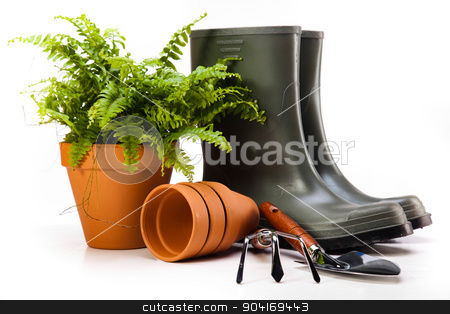 To use this stock image in your creative project, please select the size you need over to the right and click the "Add to Cart" button.
Your downloaded image will come with the Cutcaster watermark removed so don’t worry about the watermark you see on this page. Gardening concept, vivid bright springtime theme stock photo, Gardening concept, vivid bright springtime theme by Sebastian Duda