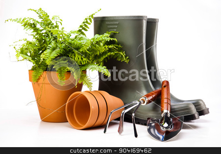 To use this stock image in your creative project, please select the size you need over to the right and click the "Add to Cart" button.
Your downloaded image will come with the Cutcaster watermark removed so don’t worry about the watermark you see on this page. Gardening concept, vivid bright springtime theme stock photo, Gardening concept, vivid bright springtime theme by Sebastian Duda