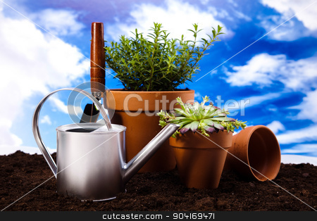 To use this stock image in your creative project, please select the size you need over to the right and click the "Add to Cart" button.
Your downloaded image will come with the Cutcaster watermark removed so don’t worry about the watermark you see on this page. Gardening concept, vivid bright springtime theme stock photo, Gardening concept, vivid bright springtime theme by Sebastian Duda