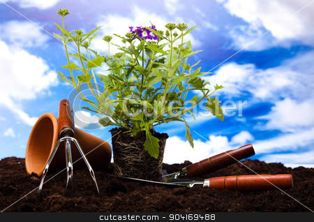 To use this stock image in your creative project, please select the size you need over to the right and click the "Add to Cart" button.
Your downloaded image will come with the Cutcaster watermark removed so don’t worry about the watermark you see on this page. Garden tools concept, vivid bright springtime stock photo, Garden tools concept, vivid bright springtime by Sebastian Duda