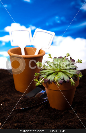To use this stock image in your creative project, please select the size you need over to the right and click the "Add to Cart" button.
Your downloaded image will come with the Cutcaster watermark removed so don’t worry about the watermark you see on this page. Garden tools concept, vivid bright springtime stock photo, Garden tools concept, vivid bright springtime by Sebastian Duda