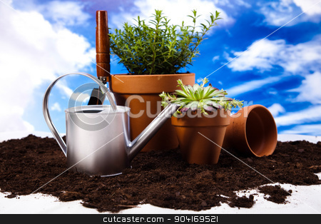 To use this stock image in your creative project, please select the size you need over to the right and click the "Add to Cart" button.
Your downloaded image will come with the Cutcaster watermark removed so don’t worry about the watermark you see on this page. Garden tools concept, vivid bright springtime stock photo, Garden tools concept, vivid bright springtime by Sebastian Duda