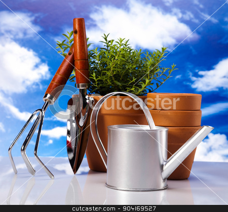 To use this stock image in your creative project, please select the size you need over to the right and click the "Add to Cart" button.
Your downloaded image will come with the Cutcaster watermark removed so don’t worry about the watermark you see on this page. Garden concept, vivid bright springtime stock photo, Garden concept, vivid bright springtime by Sebastian Duda
