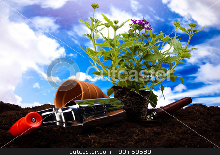 To use this stock image in your creative project, please select the size you need over to the right and click the "Add to Cart" button.
Your downloaded image will come with the Cutcaster watermark removed so don’t worry about the watermark you see on this page. Garden concept, vivid bright springtime stock photo, Garden concept, vivid bright springtime by Sebastian Duda