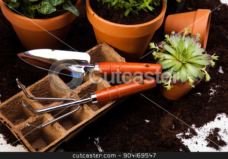 To use this stock image in your creative project, please select the size you need over to the right and click the "Add to Cart" button.
Your downloaded image will come with the Cutcaster watermark removed so don’t worry about the watermark you see on this page. Garden concept, vivid bright springtime stock photo, Garden concept, vivid bright springtime by Sebastian Duda