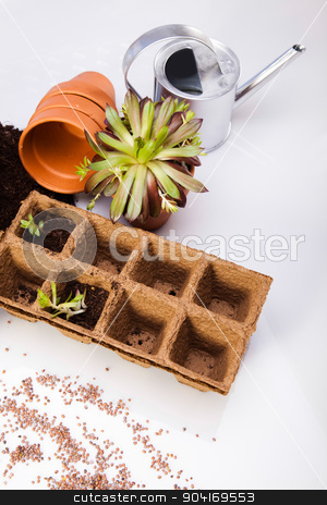 To use this stock image in your creative project, please select the size you need over to the right and click the "Add to Cart" button.
Your downloaded image will come with the Cutcaster watermark removed so don’t worry about the watermark you see on this page. Garden concept, vivid bright springtime stock photo, Garden concept, vivid bright springtime by Sebastian Duda