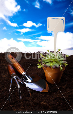 To use this stock image in your creative project, please select the size you need over to the right and click the "Add to Cart" button.
Your downloaded image will come with the Cutcaster watermark removed so don’t worry about the watermark you see on this page. Assorted gardening, vivid bright springtime concept stock photo, Assorted gardening, vivid bright springtime concept by Sebastian Duda