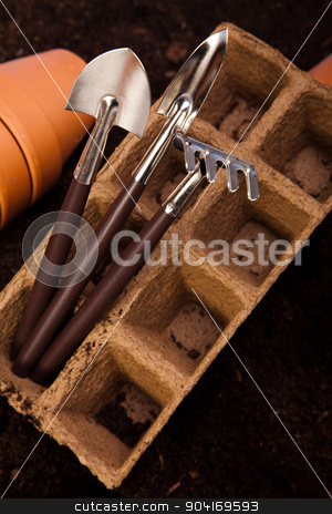 To use this stock image in your creative project, please select the size you need over to the right and click the "Add to Cart" button.
Your downloaded image will come with the Cutcaster watermark removed so don’t worry about the watermark you see on this page. Assorted gardening, vivid bright springtime concept stock photo, Assorted gardening, vivid bright springtime concept by Sebastian Duda