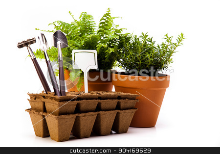 To use this stock image in your creative project, please select the size you need over to the right and click the "Add to Cart" button.
Your downloaded image will come with the Cutcaster watermark removed so don’t worry about the watermark you see on this page. Gardening equipment of green plants stock photo, Gardening equipment of green plants by Sebastian Duda