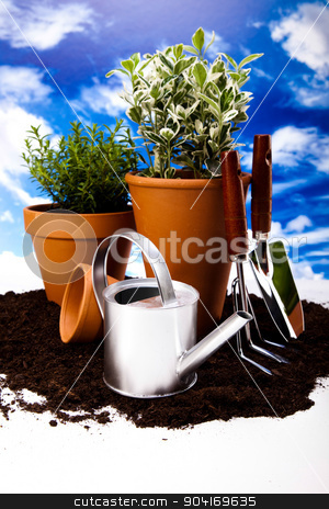 To use this stock image in your creative project, please select the size you need over to the right and click the "Add to Cart" button.
Your downloaded image will come with the Cutcaster watermark removed so don’t worry about the watermark you see on this page. Gardening equipment of green plants stock photo, Gardening equipment of green plants by Sebastian Duda