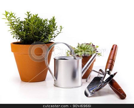 To use this stock image in your creative project, please select the size you need over to the right and click the "Add to Cart" button.
Your downloaded image will come with the Cutcaster watermark removed so don’t worry about the watermark you see on this page. Gardening equipment of green plants stock photo, Gardening equipment of green plants by Sebastian Duda