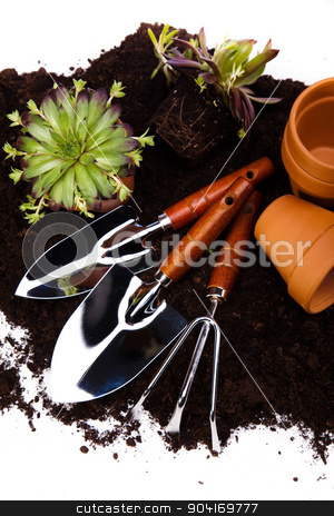 To use this stock image in your creative project, please select the size you need over to the right and click the "Add to Cart" button.
Your downloaded image will come with the Cutcaster watermark removed so don’t worry about the watermark you see on this page. Gardening tools, vivid bright springtime concept stock photo, Gardening tools, vivid bright springtime concept by Sebastian Duda