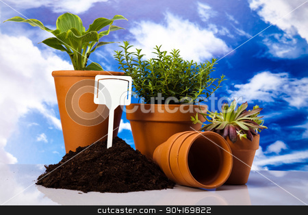To use this stock image in your creative project, please select the size you need over to the right and click the "Add to Cart" button.
Your downloaded image will come with the Cutcaster watermark removed so don’t worry about the watermark you see on this page. Spring garden, vivid bright springtime concept stock photo, Spring garden, vivid bright springtime concept by Sebastian Duda