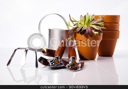 To use this stock image in your creative project, please select the size you need over to the right and click the "Add to Cart" button.
Your downloaded image will come with the Cutcaster watermark removed so don’t worry about the watermark you see on this page. Garden Tools, vivid bright springtime concept stock photo, Garden Tools, vivid bright springtime concept by Sebastian Duda