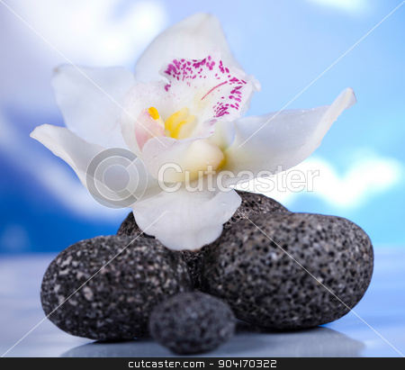 To use this stock image in your creative project, please select the size you need over to the right and click the "Add to Cart" button.
Your downloaded image will come with the Cutcaster watermark removed so don’t worry about the watermark you see on this page. Balanced zen stones, magical ambient atmosphere theme stock photo, Balanced zen stones, magical ambient atmosphere theme by Sebastian Duda
