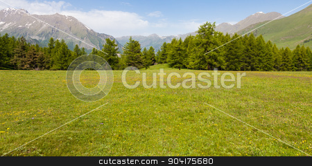 To use this stock image in your creative project, please select the size you need over to the right and click the "Add to Cart" button.
Your downloaded image will come with the Cutcaster watermark removed so don’t worry about the watermark you see on this page. Italian Alps stock photo, Wonderful view on Italian Alps with a forest background during a summer day. Piedmont region - North Italy. by Paolo Gallo