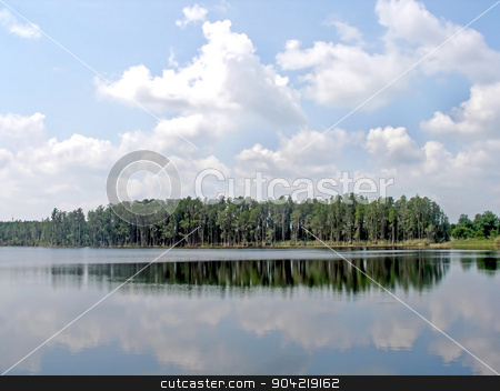To use this stock image in your creative project, please select the size you need over to the right and click the "Add to Cart" button.
Your downloaded image will come with the Cutcaster watermark removed so don’t worry about the watermark you see on this page. Forest Reflections stock photo, A forest next to a lake with reflections in the water by Lucy Clark
