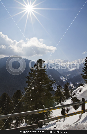To use this stock image in your creative project, please select the size you need over to the right and click the "Add to Cart" button.
Your downloaded image will come with the Cutcaster watermark removed so don’t worry about the watermark you see on this page. Trees on a snow covered mountain, Kashmir, Jammu And Kashmir, In stock photo, Trees on a snow covered mountain, Kashmir, Jammu And Kashmir, India by imagedb