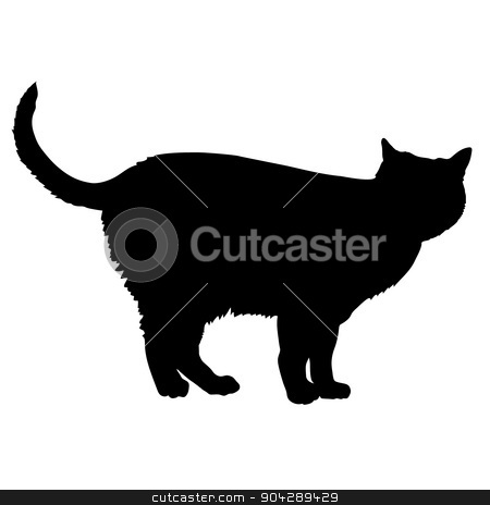 To use this stock image in your creative project, please select the size you need over to the right and click the "Add to Cart" button.
Your downloaded image will come with the Cutcaster watermark removed so don’t worry about the watermark you see on this page. cat source silhouette 13 stock vector clipart, A black silhouette of a cat by Maria Bell